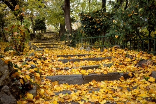 Cişmigiu Garden in Bucharest 